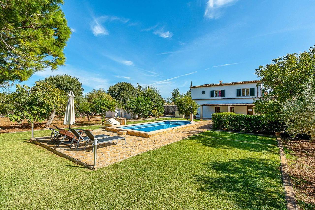 Villa Palmeritas *