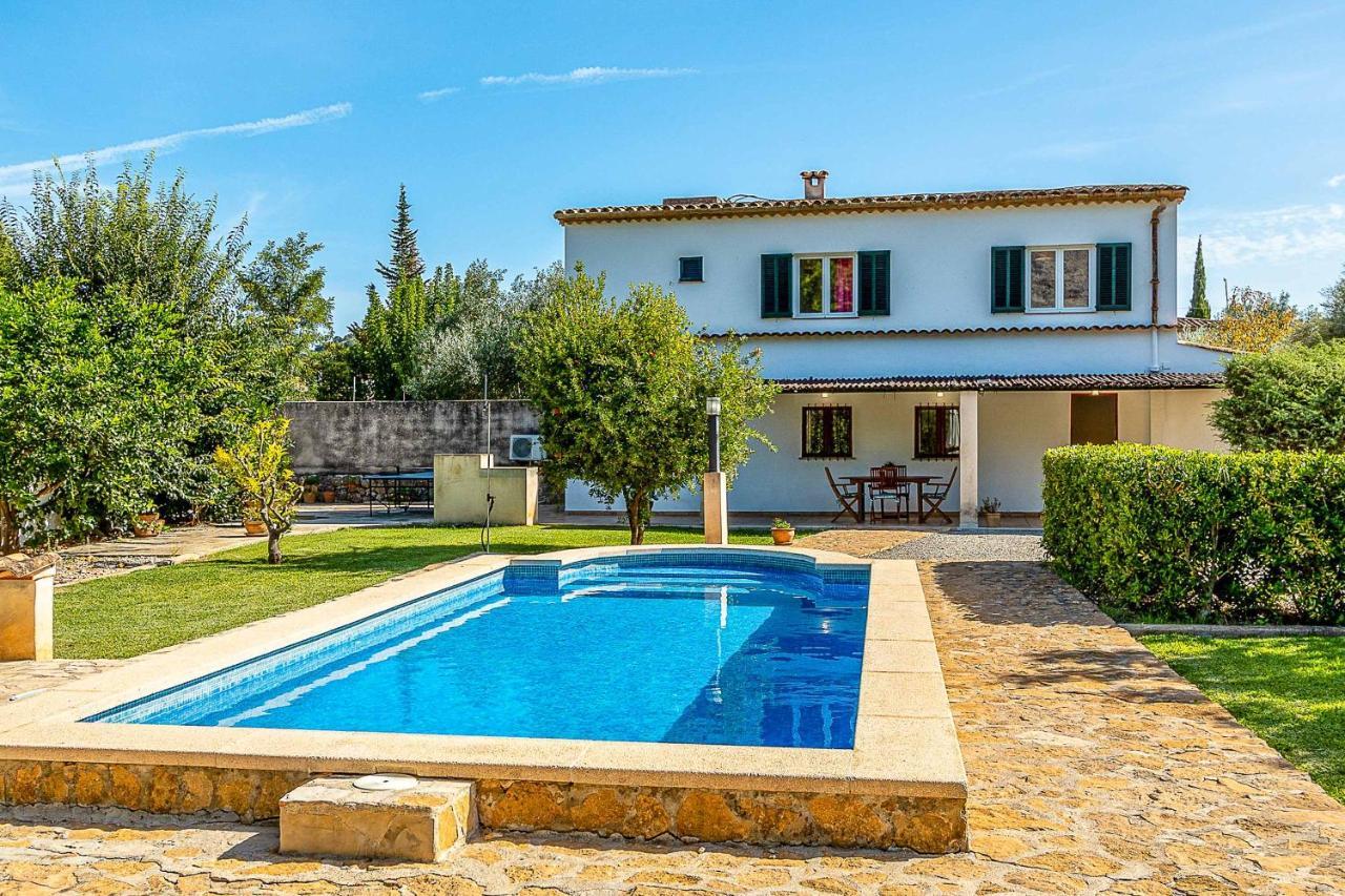 Villa Palmeritas